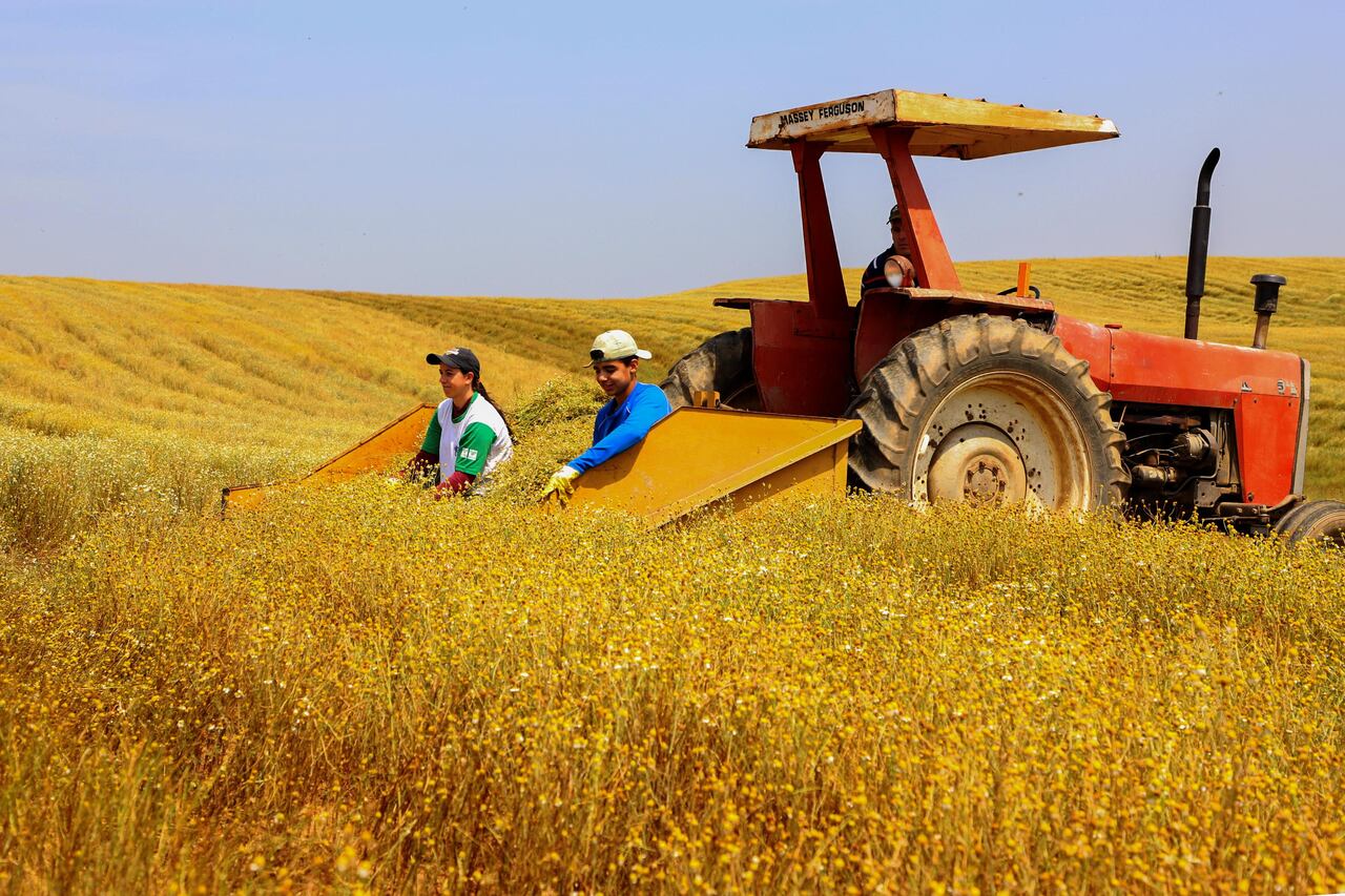 Paraná teve o maior crescimento da atividade econômica do Brasil; agro ...
