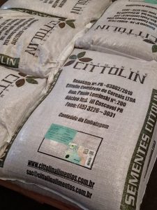Parceria para exportação de grãos para seus clientes pr meio de contratos