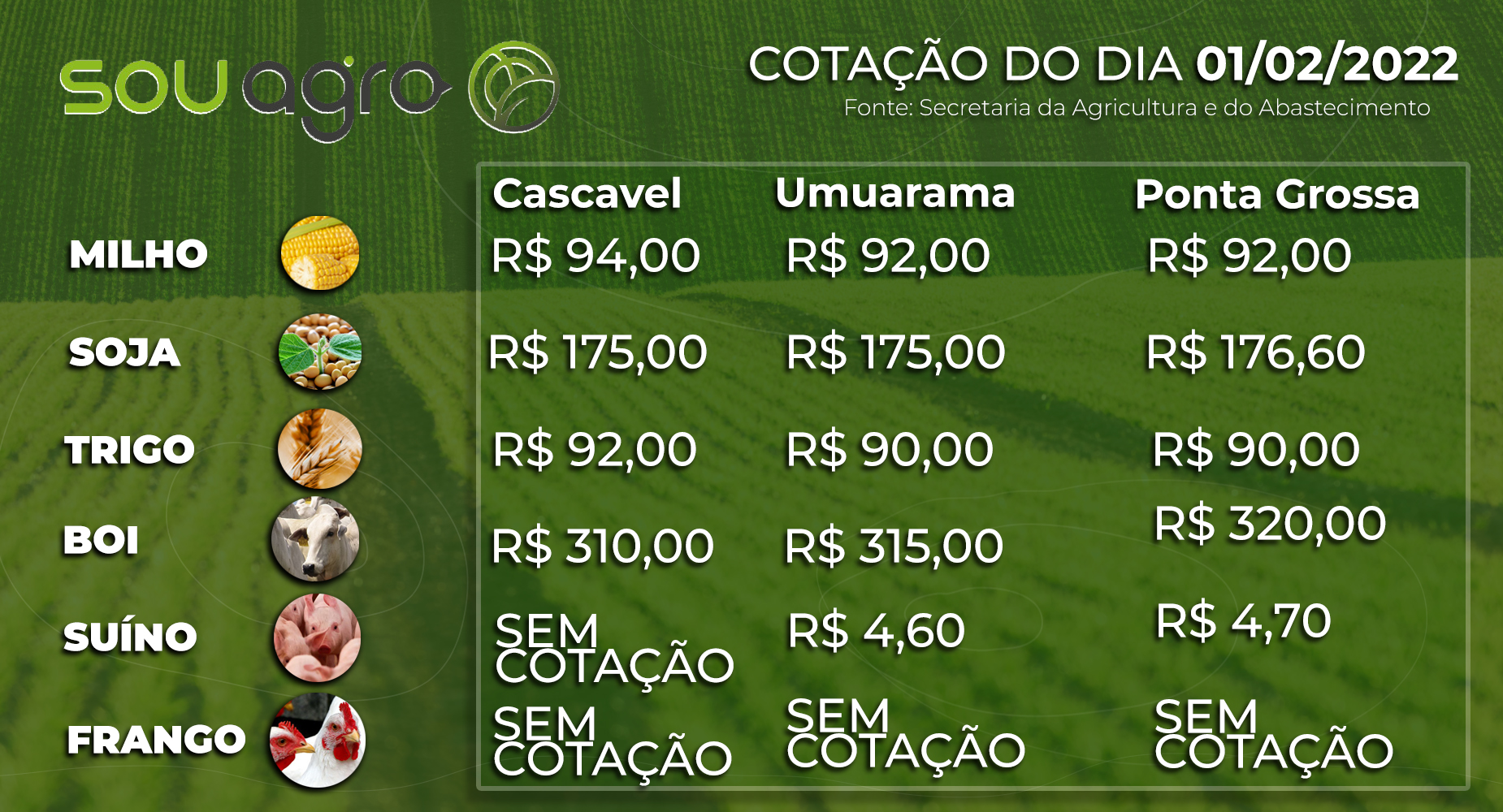 cotações