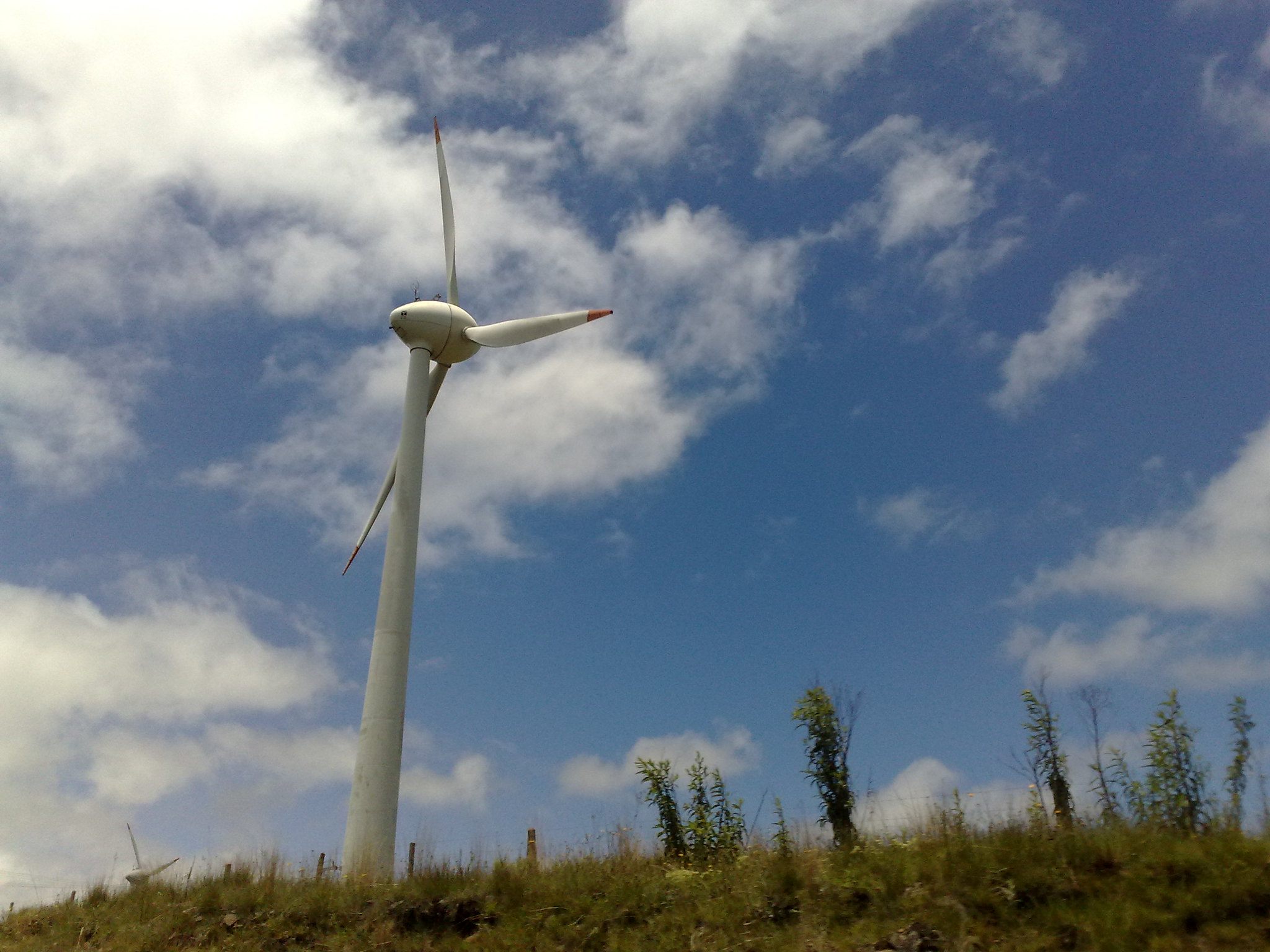 Cidade de Palmas é reconhecida como “Rota dos Ventos”
